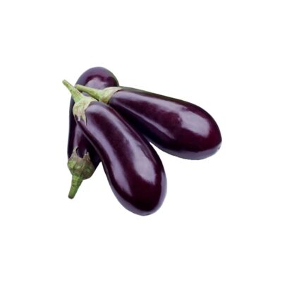 American Eggplant