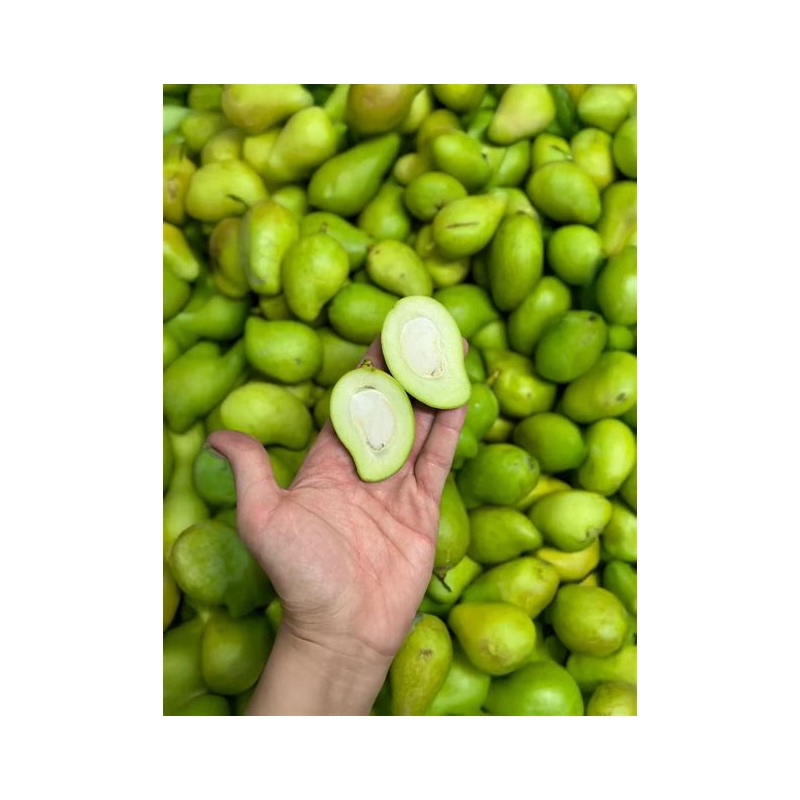 Baby Mango