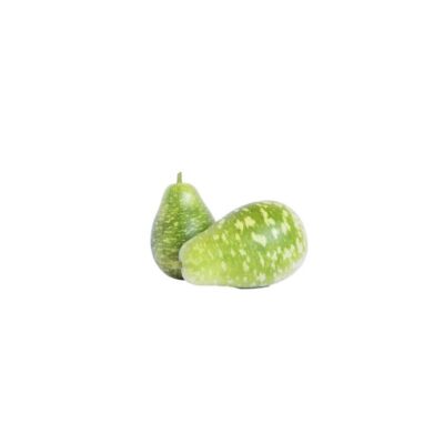 Bengali Squash