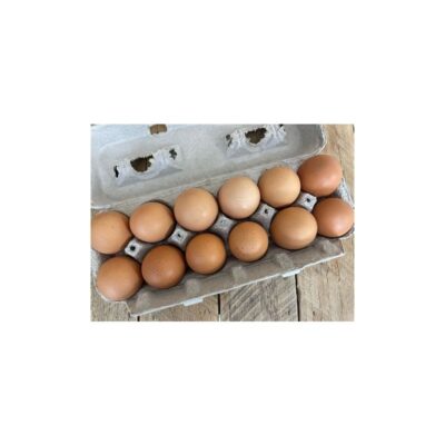 Brown Eggs
