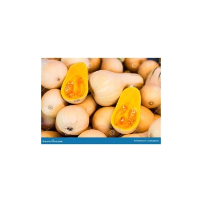 Butternut Squash