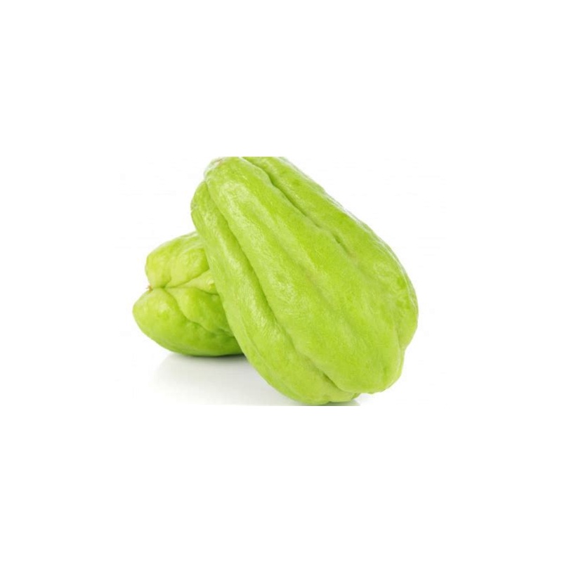Chayote Squash