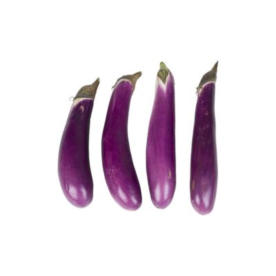 Chinese Egg Plant