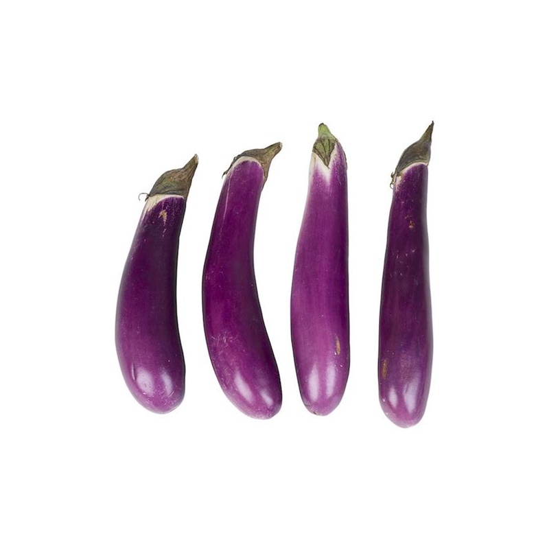 Chinese Egg Plant