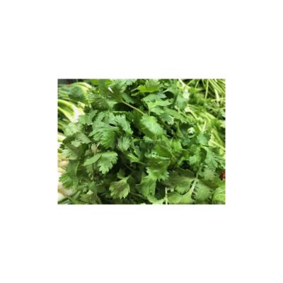 Cilantro