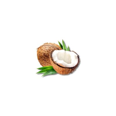 Coconut