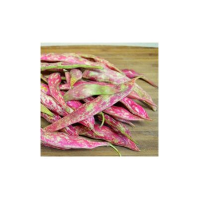 Cranberry Beans