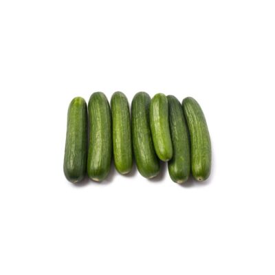 Cucumber Persian