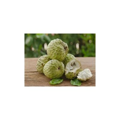 Custard Apple