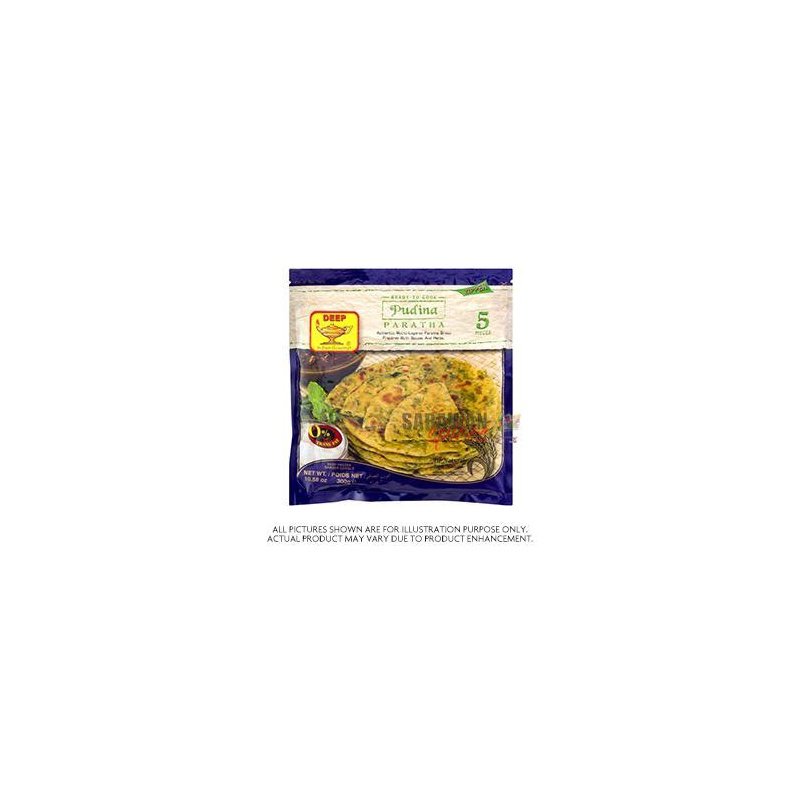 Deep Pudina Paratha