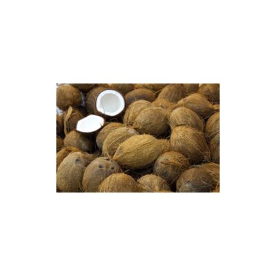 Dry Coconut