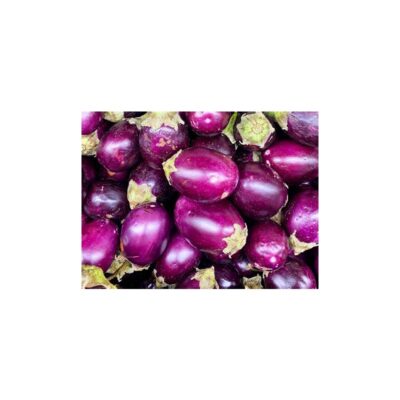 Fancy Egg Plant