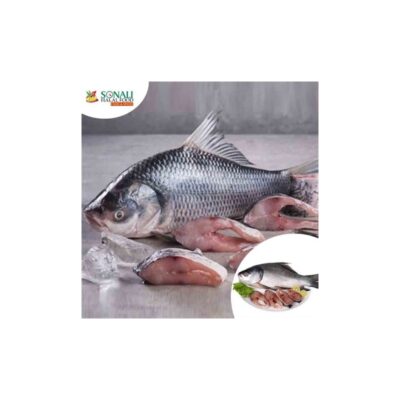 Fish Katla