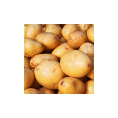 Gold Potato