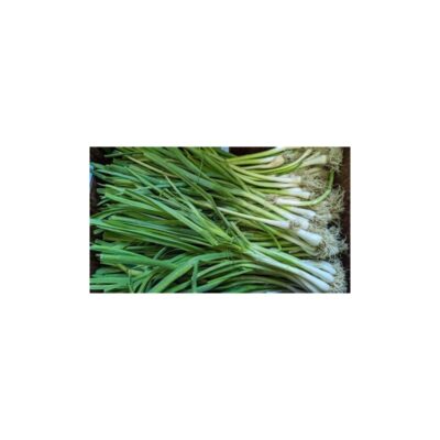 Green Garlic