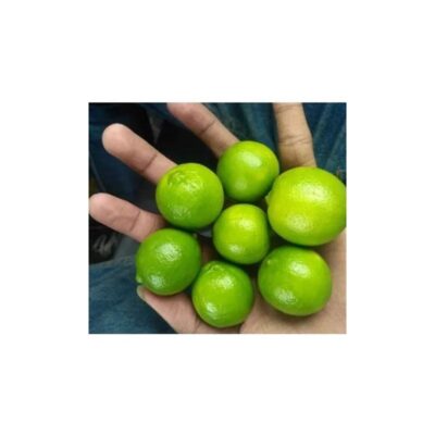 Green Lemon