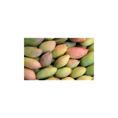 Indian Tota Puri Mango