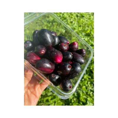 Jamun Java Plum