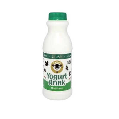 Karoun Yogurt Drink Mint