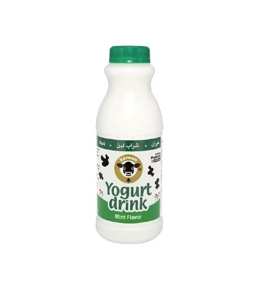 Karoun Yogurt Drink Mint