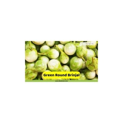 Kitchen Xpress Green Round Brinjal