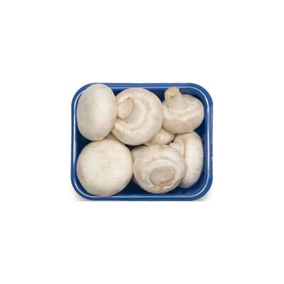 Fresh Mushroom