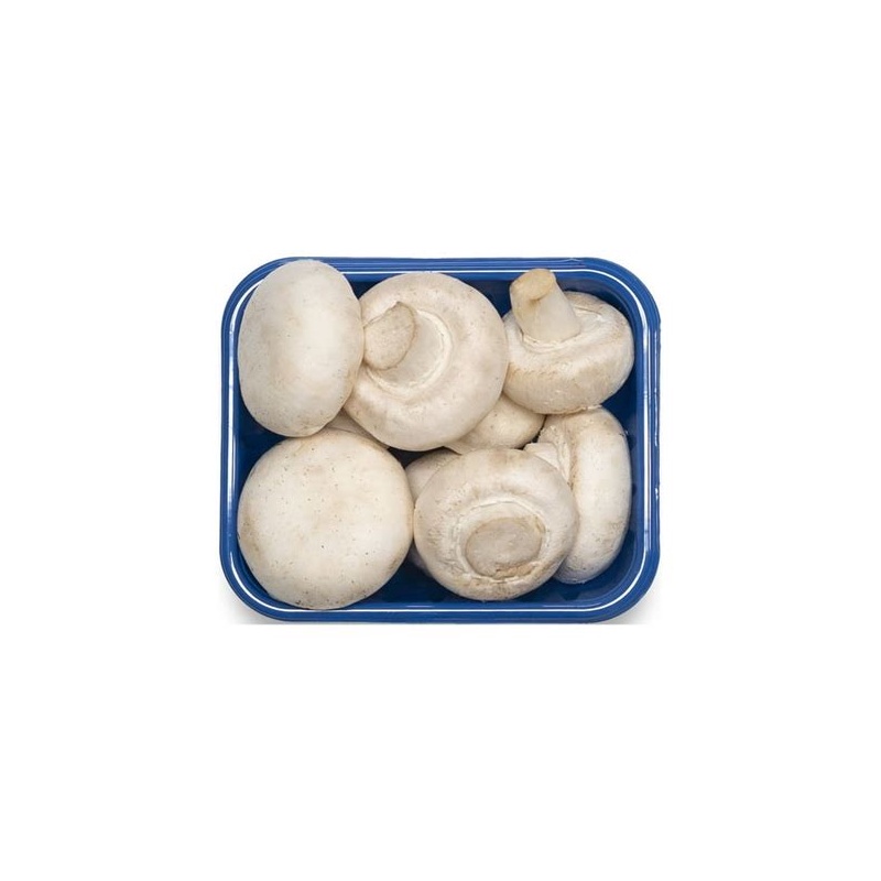 Fresh Mushroom