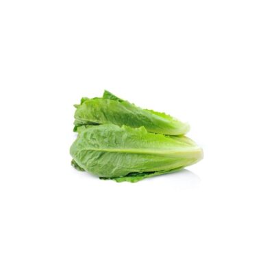 Lettuce