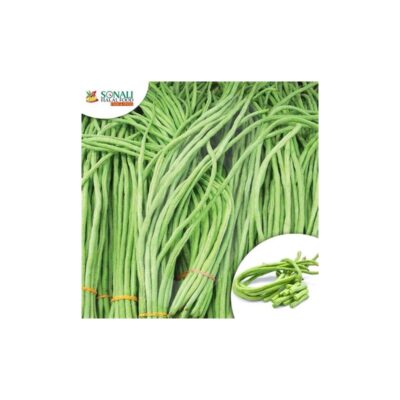 Long Green Beans