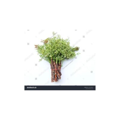 Neem Flower With Leaf
