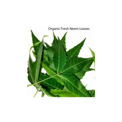 Neem Leaves