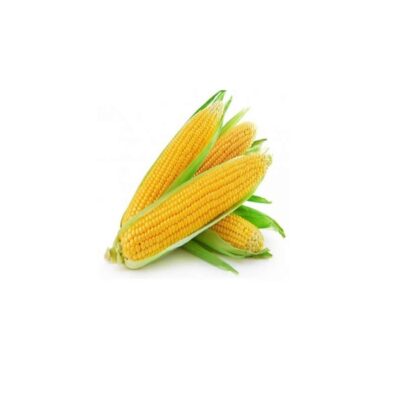Sweet Corn