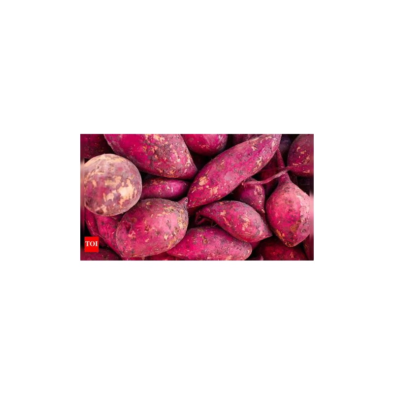 Sweet Potato