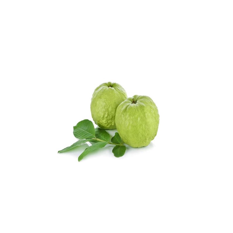 Thai Guava