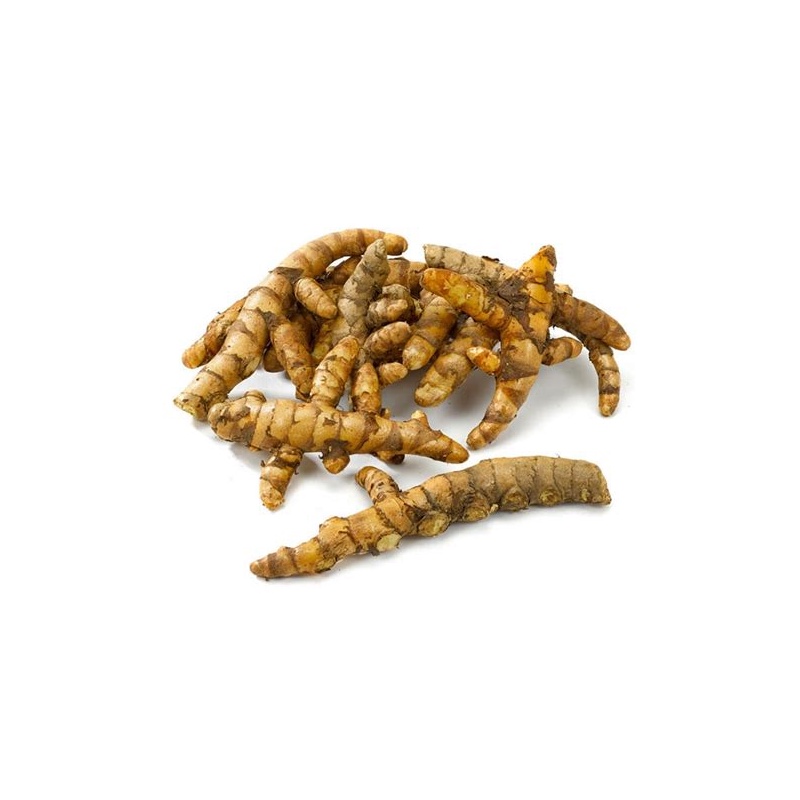 Turmeric White