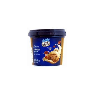Vadilal Anjeer Ice Cream