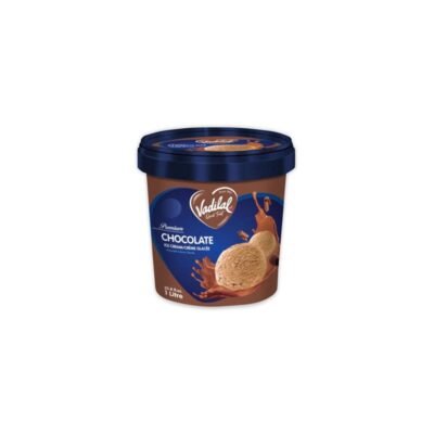 Vadilal Chocolate Ice Cream