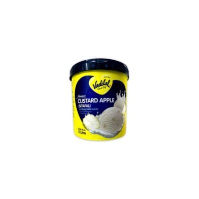 Vadilal Custard Apple Ice Cream