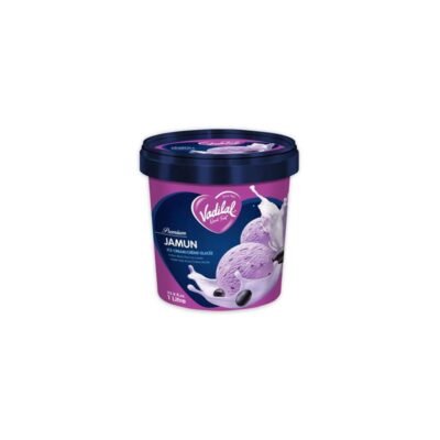 Vadilal Jamun Ice Cream