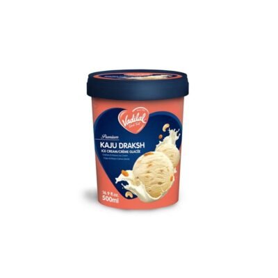 Vadilal Kaju Draksh Ice Cream