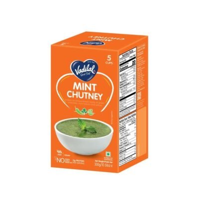 Vadilal Mint Chutney
