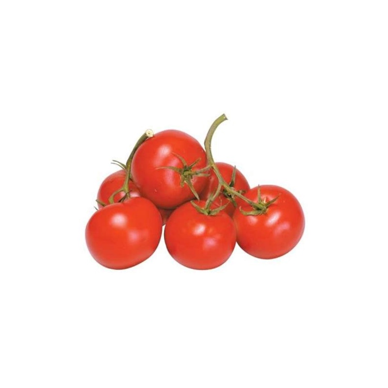 Vine Ripe Tomato